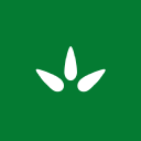 MN-img